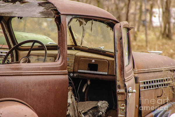 Still Life Art Print featuring the photograph Seen Better Days by Mary Carol Story