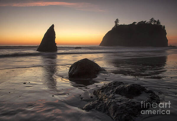 Ruby Beach Art Print featuring the photograph Sentinels of the Sea by Timothy Johnson