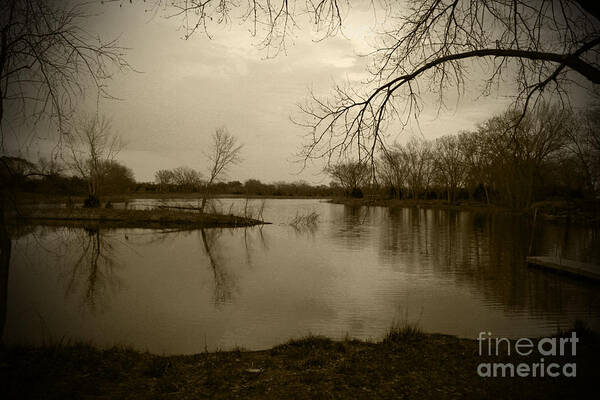 Landscape Art Print featuring the photograph Sepia Lake by Steve Triplett