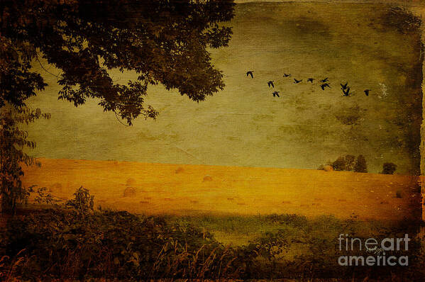 Field Art Print featuring the photograph September by Lois Bryan