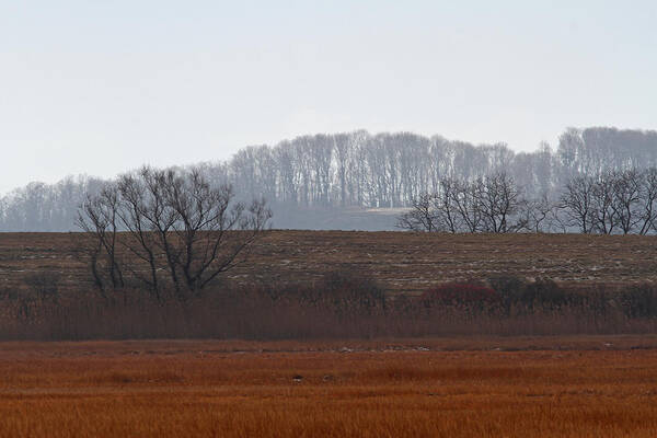 Landscape Art Print featuring the photograph Serene Parker River National Wildlife Refuge by Juergen Roth