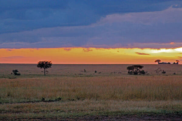 Sunrise Art Print featuring the photograph Serengeti Sunrise by Tony Murtagh