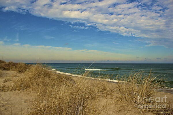 Serenity Art Print featuring the photograph Serenity on Coast Guard Beach by Amazing Jules