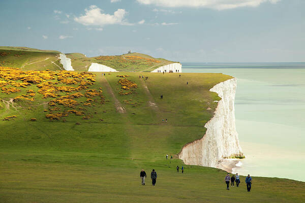 Scenics Art Print featuring the photograph Seven Sisters Counrty Park by Ray Wise