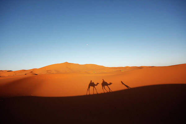 Shadow Art Print featuring the photograph Shadows Trekking On Dessert by Chin Ping, Goh