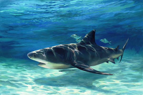 Laurie Hein Art Print featuring the painting Shark in Depth by Laurie Snow Hein