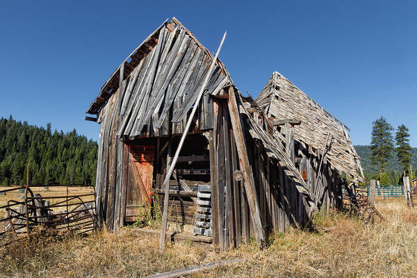 Sheep Shed Art Print featuring the photograph Sheep Shed by Kathleen Bishop