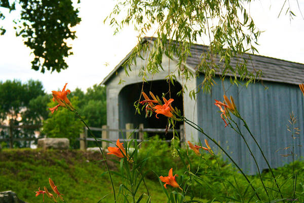 Berkshire Scenery Art Print featuring the photograph Sheffield Covered Bridge Behind the Daylilies by Kristin Hatt