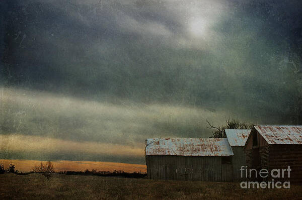 Shelter Art Print featuring the photograph Shelter by Terry Rowe