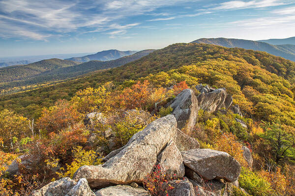 Shenandoah Art Print featuring the photograph Shenandoah National Park Mary's Rock by Pierre Leclerc Photography