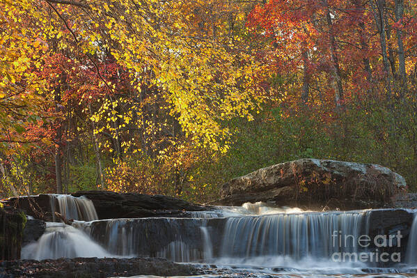 Water Art Print featuring the photograph Shohola Falls by Nicki McManus