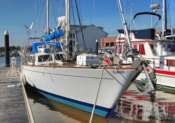 Boats Art Print featuring the photograph Shore Leave by Kathy Baccari