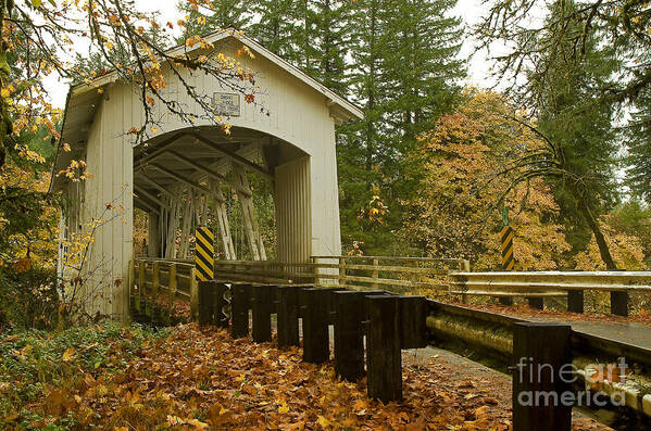 Pacific Art Print featuring the photograph Short Covered Bridge by Nick Boren