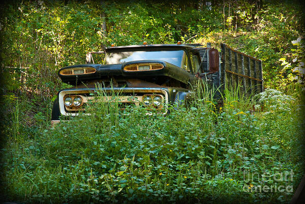 Old Chevy Truck Art Print featuring the photograph Sid's old truck by Lena Wilhite