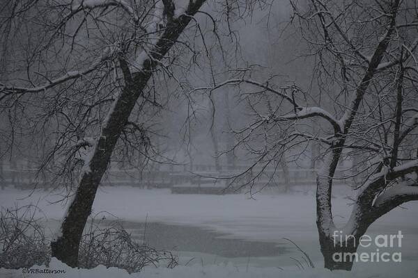Snow Art Print featuring the photograph Silence of Winter by Veronica Batterson
