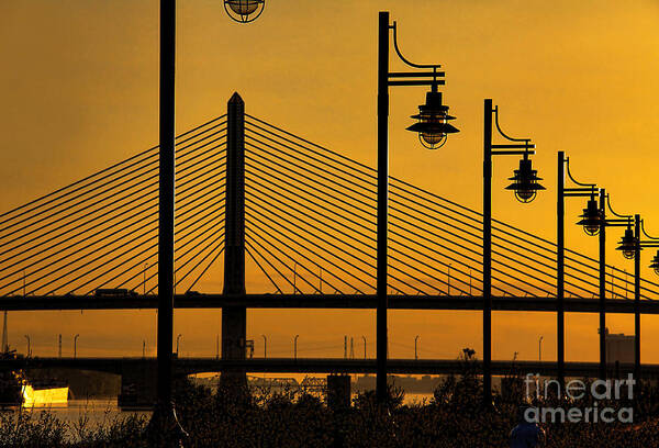 Silhouettes Art Print featuring the photograph Silhouettes at Sunrise by Jack Schultz