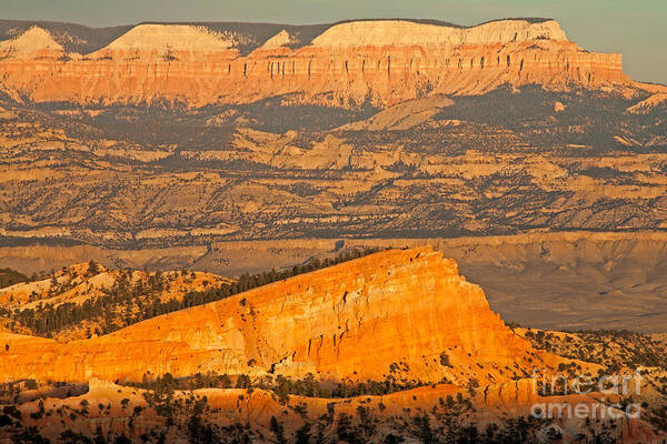 Bryce Canyon Art Print featuring the photograph Sinking Ship Sunset Point Bryce Canyon National Park by Fred Stearns