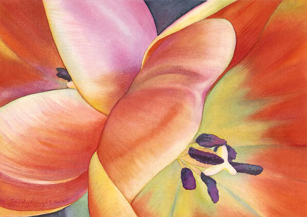 Tulip Art Print featuring the painting Sisters by Sandy Haight