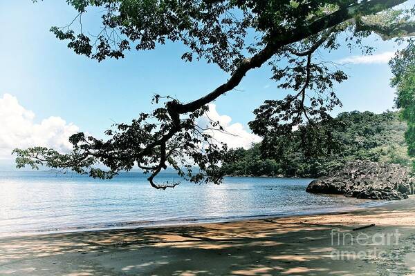 Ocean Art Print featuring the photograph SIt In The Shade by Kate McKenna