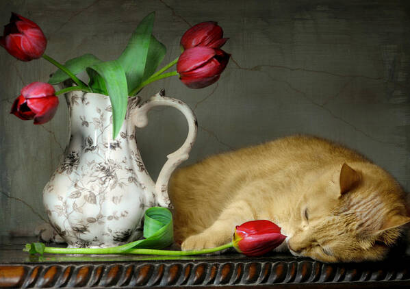 Still Life Art Print featuring the photograph Sleepy Tulips by Diana Angstadt