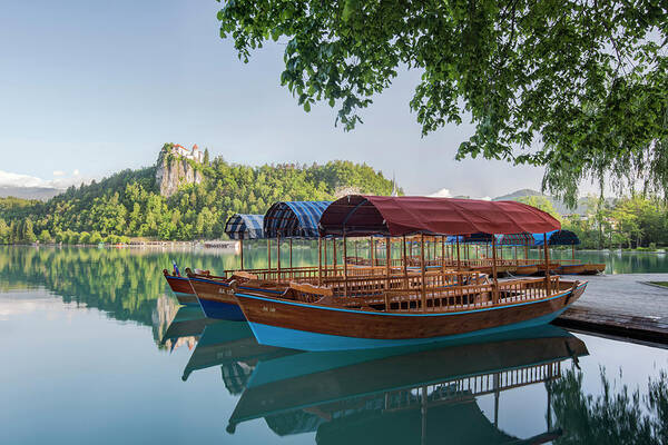 Bled Castle Art Print featuring the photograph Slovenia, Bled, Lake Bled, Plenta Boats by Rob Tilley