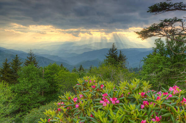 Light Art Print featuring the photograph Great Smoky Mountains National Park by Doug McPherson