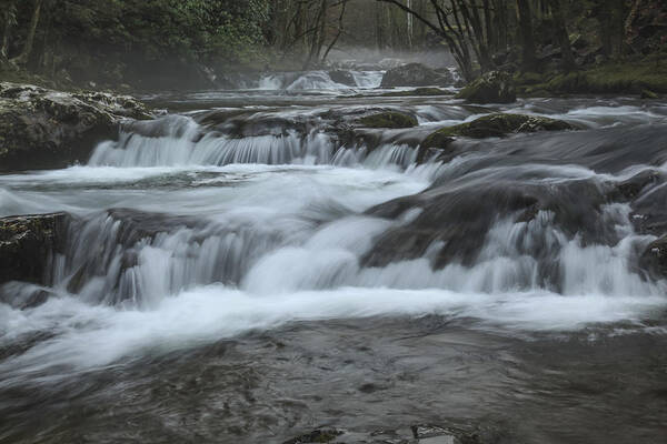 Water Art Print featuring the photograph Smoky Mountain Stream by Doug McPherson