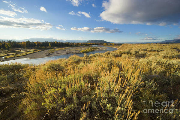 00431129 Art Print featuring the photograph Snake River And Sagebrush Grand Teton NP by Yva Momatiuk John Eastcott