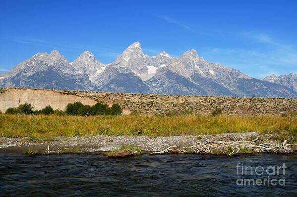 Snake River Art Print featuring the photograph Snake Views by Deanna Cagle