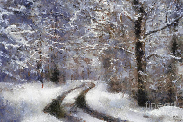 Snow Art Print featuring the photograph Snow Came by Barbara R MacPhail