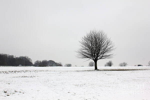 Epsom Downs Art Print featuring the photograph Snow on Epsom Downs Surrey England UK by Julia Gavin