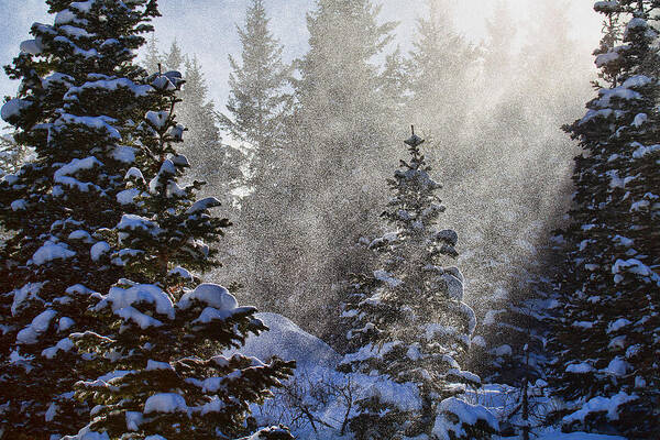 Snow Day Photograph Art Print featuring the photograph Snow Squalls by Jim Garrison