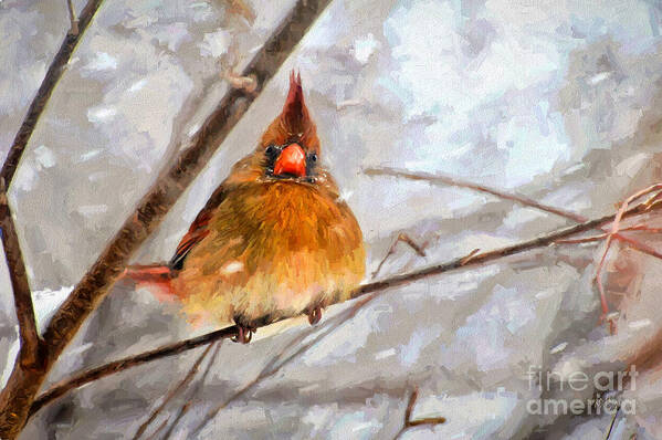 Bird Art Print featuring the digital art Snow Surprise - Painterly by Lois Bryan
