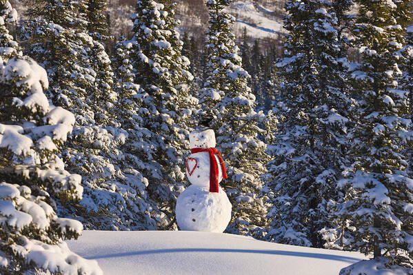 Field Art Print featuring the photograph Snowman Wearing A Red Scarf And Black by Kevin Smith