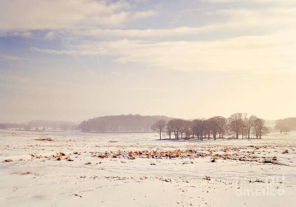 Valley Art Print featuring the photograph Snowy Valley by Lyn Randle