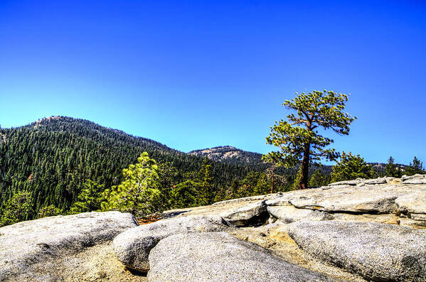 Dome Rock Art Print featuring the photograph Solitude by Marta Cavazos-Hernandez