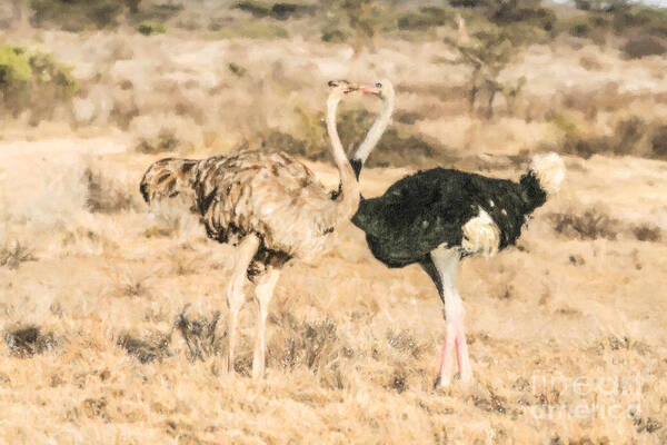 Kenya Art Print featuring the digital art Somali Ostriches kissing by Liz Leyden