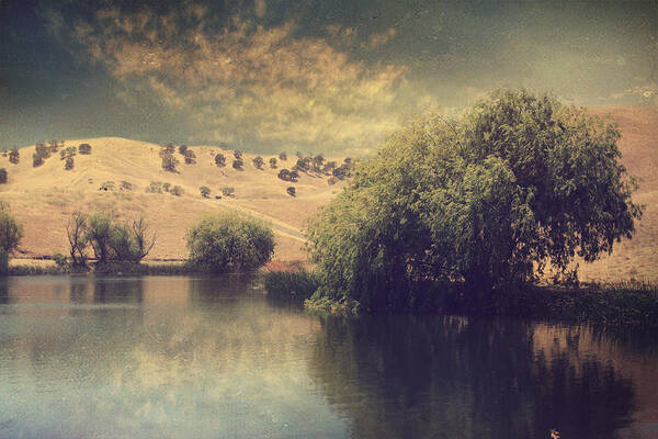 Contra Loma Regional Park Art Print featuring the photograph Some Dreams Never Die by Laurie Search