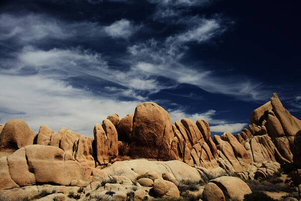 Joshua Tree National Park Art Print featuring the photograph Songs of Misery by Laurie Search