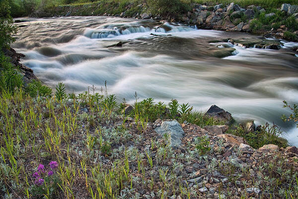 River Art Print featuring the photograph South Boulder Creek Summer View by James BO Insogna