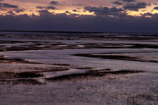 North Inlet Art Print featuring the photograph South Carolina Marsh At Sunrise by Larry Cameron