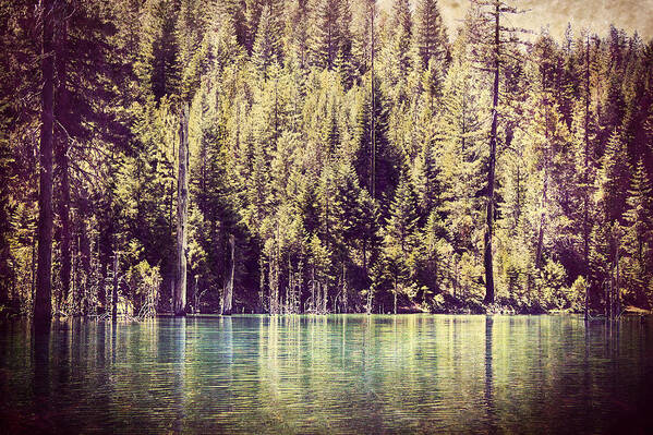 Spalding Mill Pond Art Print featuring the photograph Spalding Mill Pond by Melanie Lankford Photography