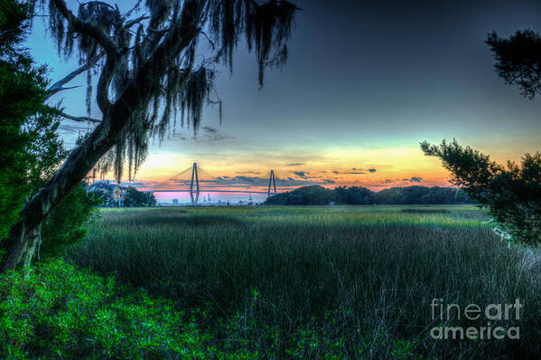 Sunset Art Print featuring the photograph Spanish Moss Bridge View by Dale Powell