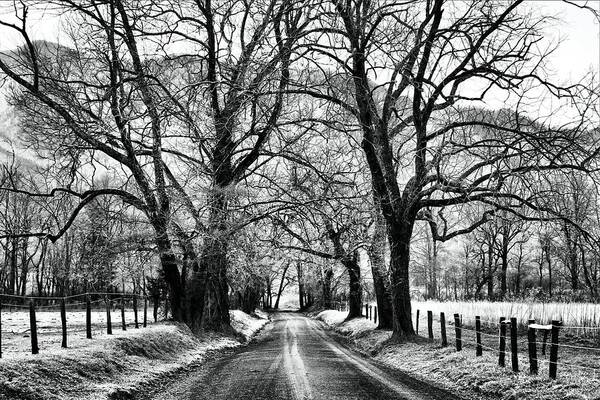 Cades Cove Art Print featuring the photograph Sparks Lane During Winter by Carol Montoya