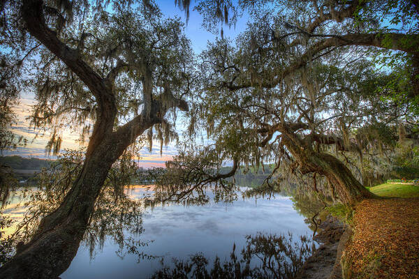 Magnolia Plantation Art Print featuring the photograph Spring at Magnolia Plantation 7 by Walt Baker