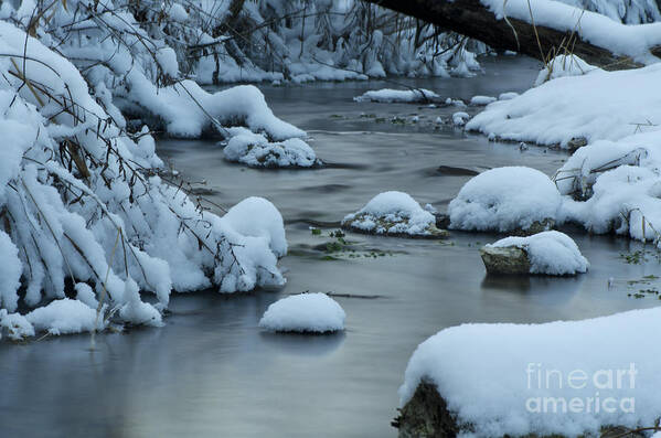 Spring Creek Art Print featuring the photograph Spring Creek by Dan Hefle