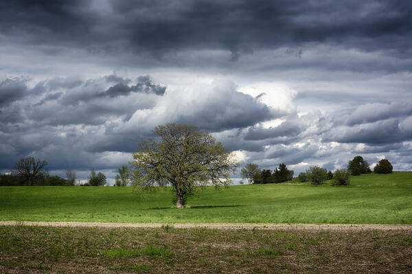 Spring Landscape Art Print featuring the photograph Spring Greens by Dan Hefle