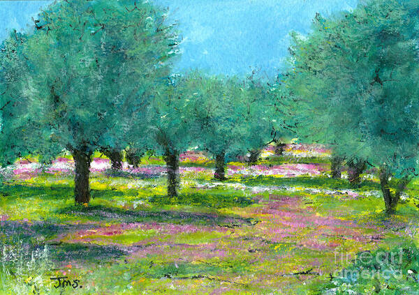 Painting Art Print featuring the painting Spring Olive Grove Greece by Jackie Sherwood
