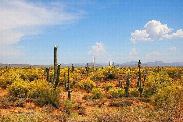 Spring Time On The Rolls. Arizona Art Print featuring the digital art Spring Time On The Rolls - Arizona. by Tom Janca