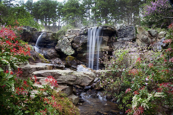Waterfall Art Print featuring the photograph Spring Waterfall by Robert Camp